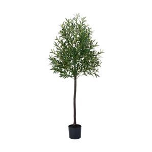 Tall Artificial Olive Tree - Anko product image