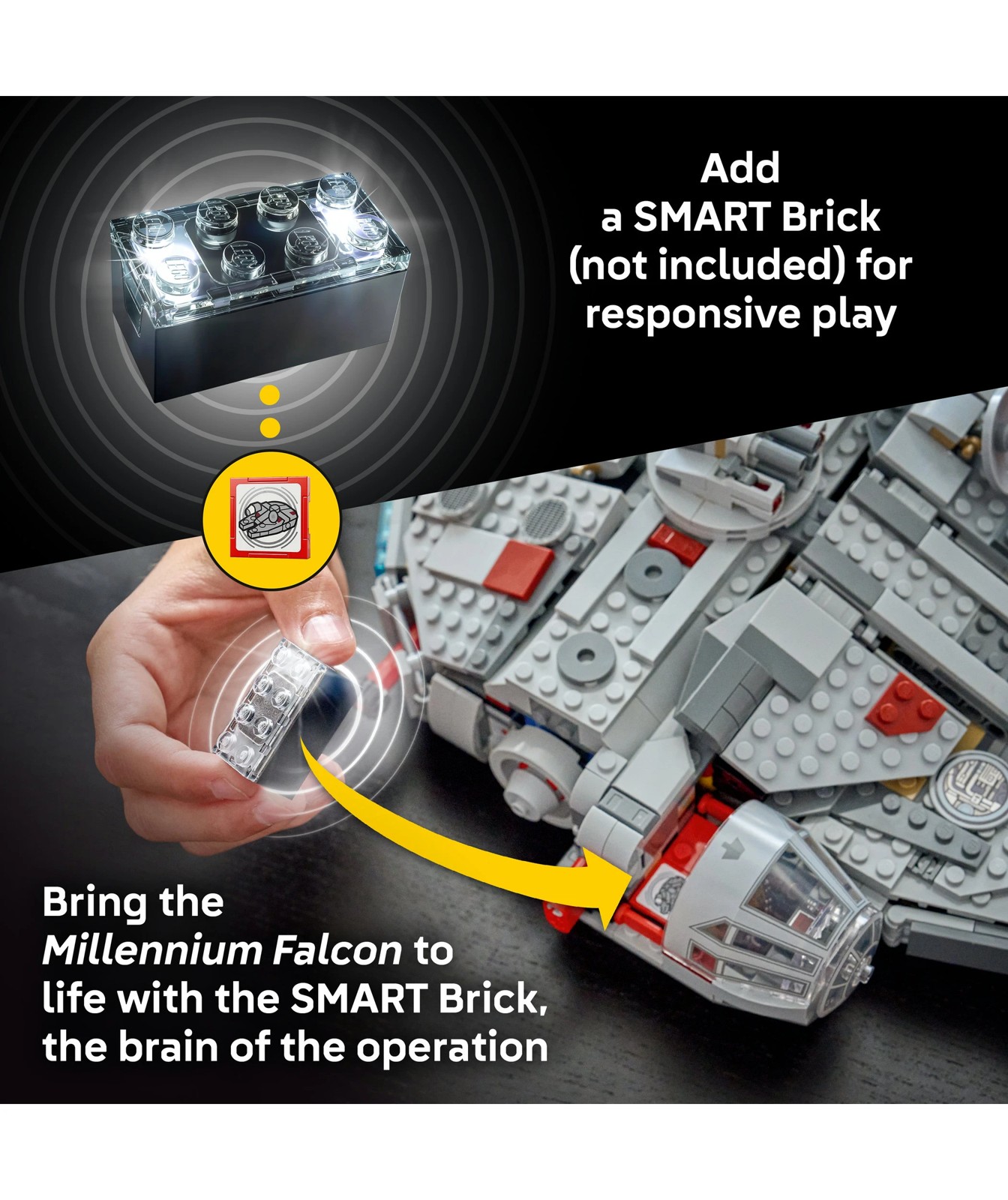 72352137-IMG-75426_05