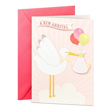 Hallmark Baby Girl Card