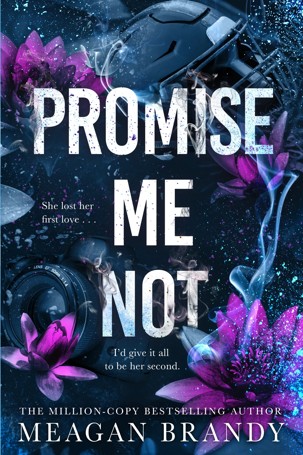 Promise Me Not by Meagan Brandy - Book