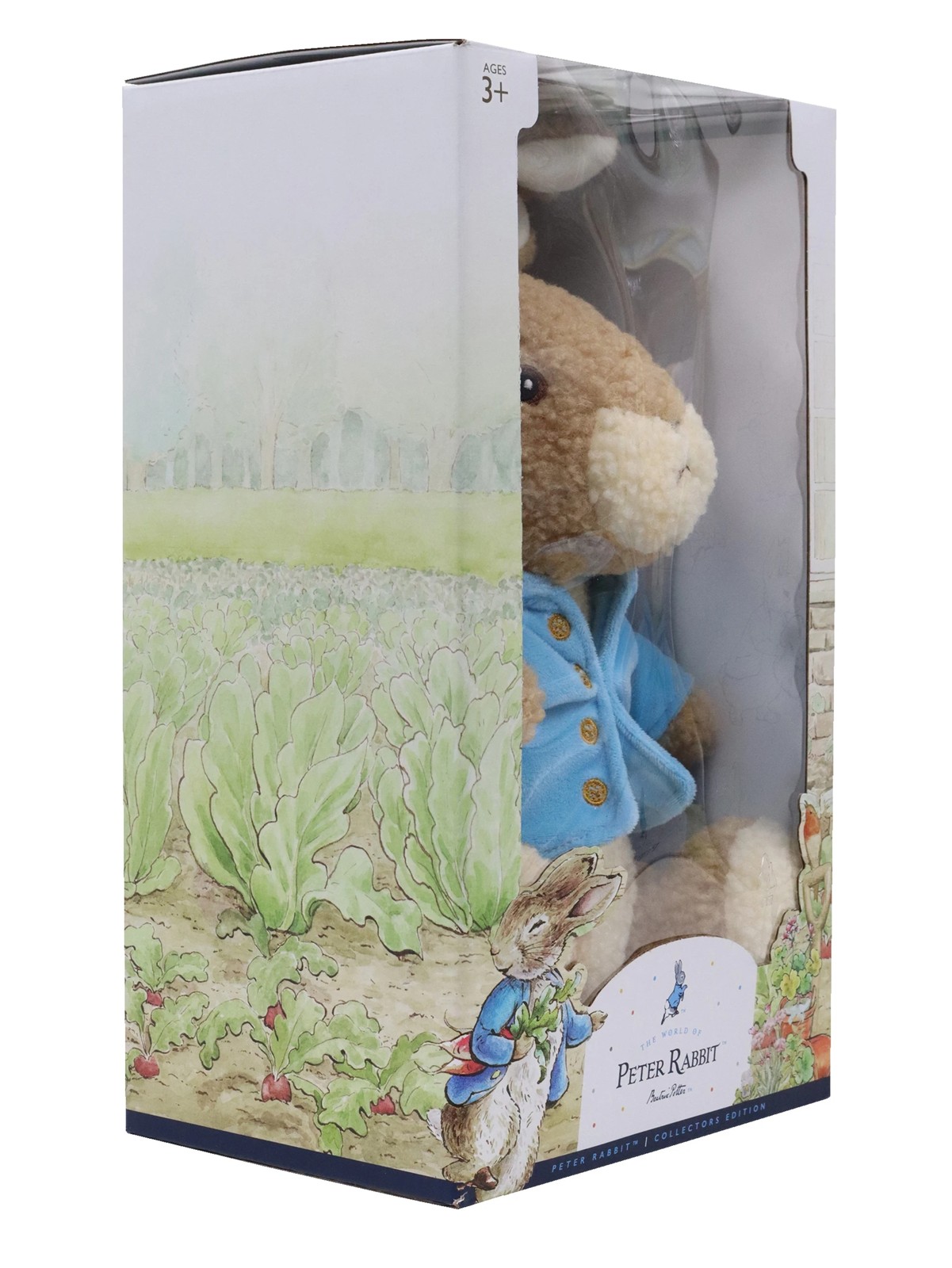 Peter Rabbit Medium Plush in Keepsake Box 5 of 5