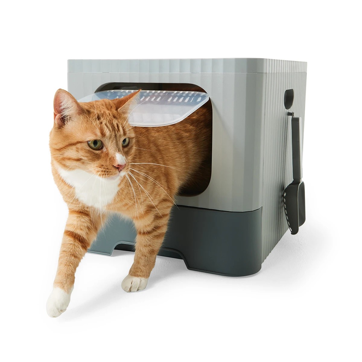 Target kitty shop litter box