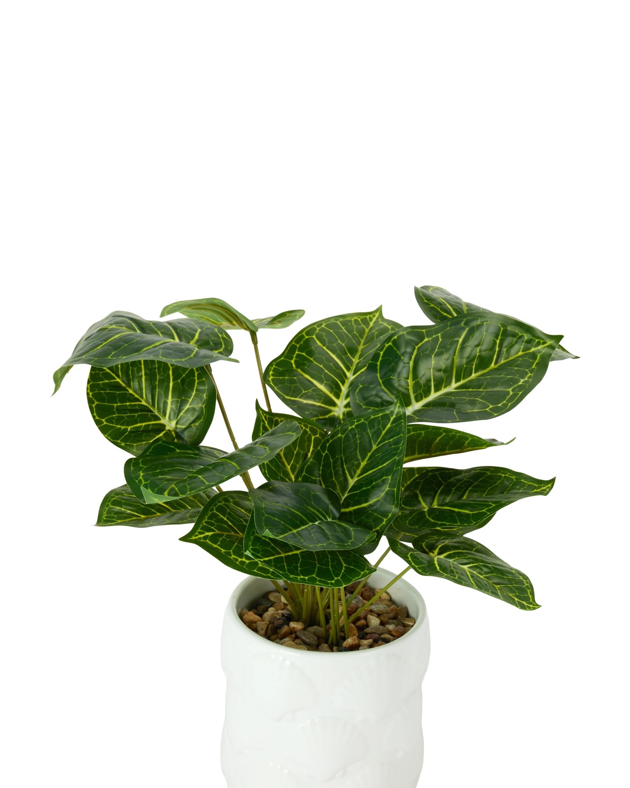 Anko Artificial Syngonium Plant in Shell Pot 2 of 3