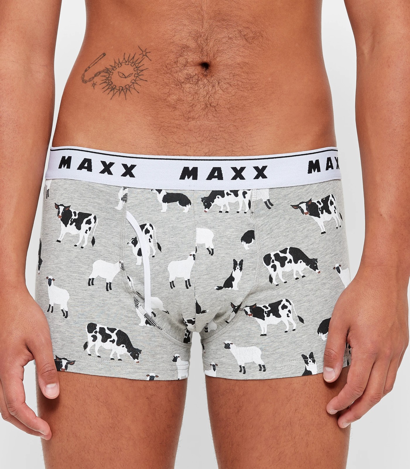 Maxx Flyfront Trunks