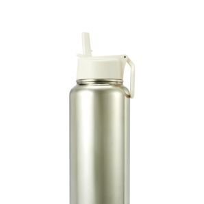 Anko 960ml Chrome Double Wall Insulated Cylinder Drink Bottle product image
