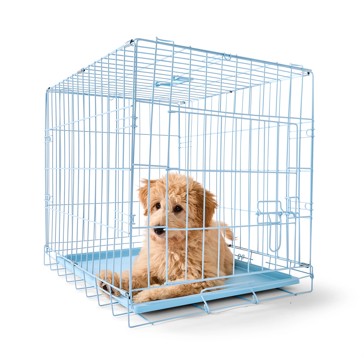 Anko Small Blue Crate
