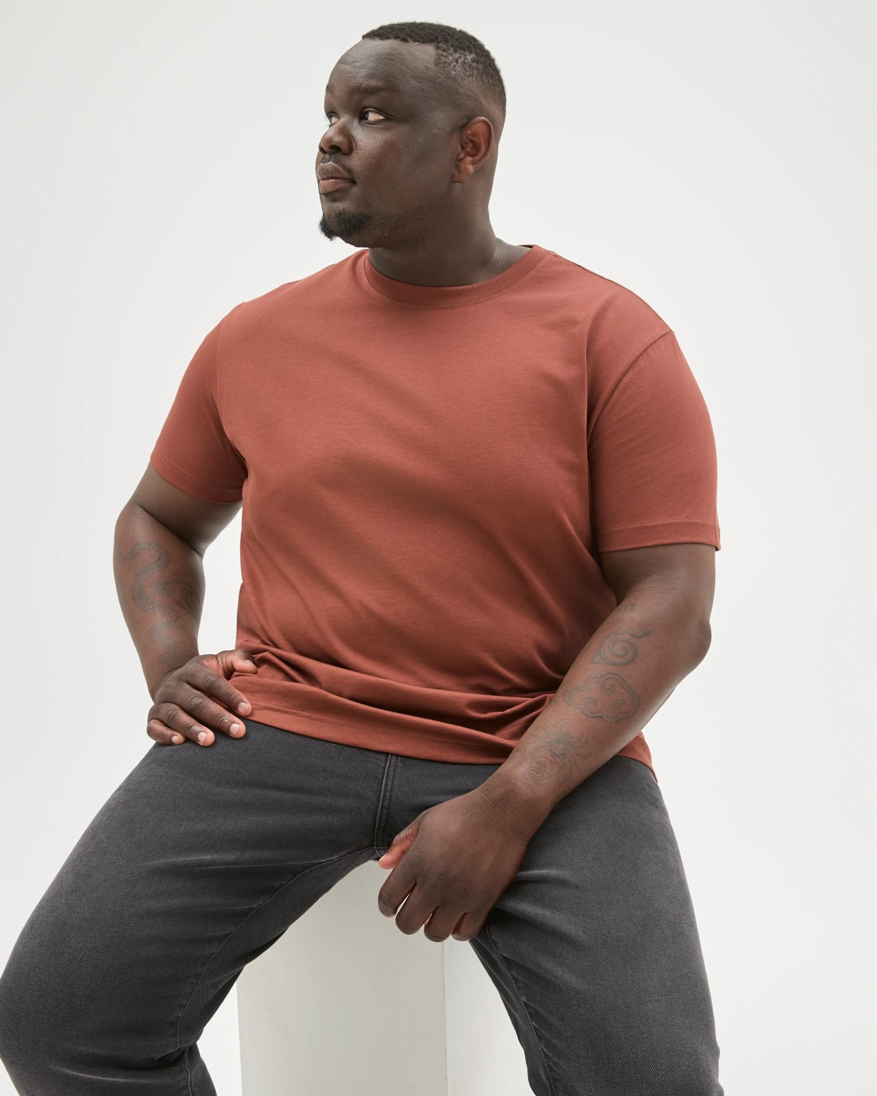 Plus Size Australian Cotton Heavyweight Relaxed T-Shirt - Rust  4 of 6