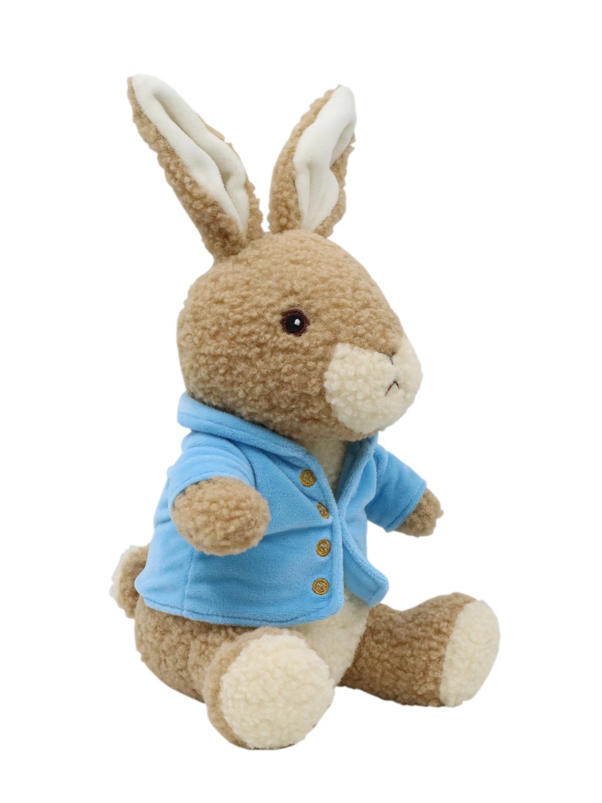 Peter Rabbit Medium Plush in Keepsake Box 3 of 5