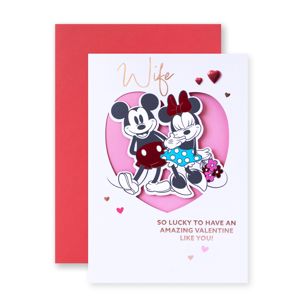 Hallmark Valentine's Day Wife Card - So Lucky to Have an Amazing Valentine Like You!