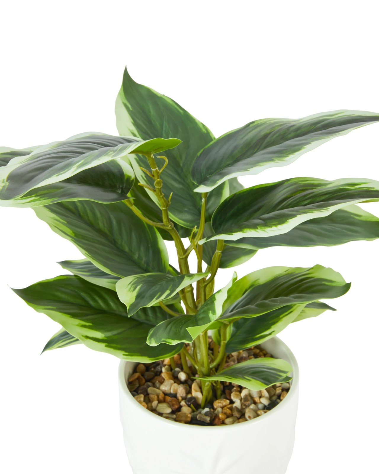Anko Artificial Leopard Lily Plant in Palm Pot 2 of 3