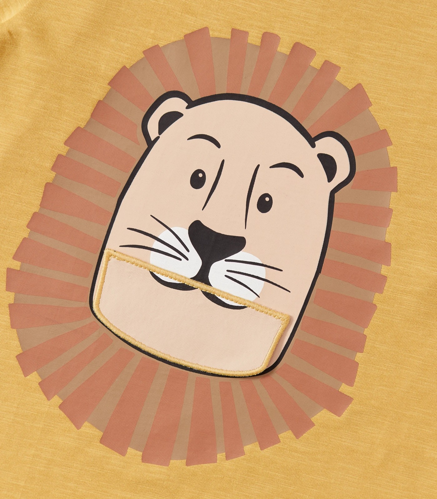 Novelty Lion Top 5 of 6