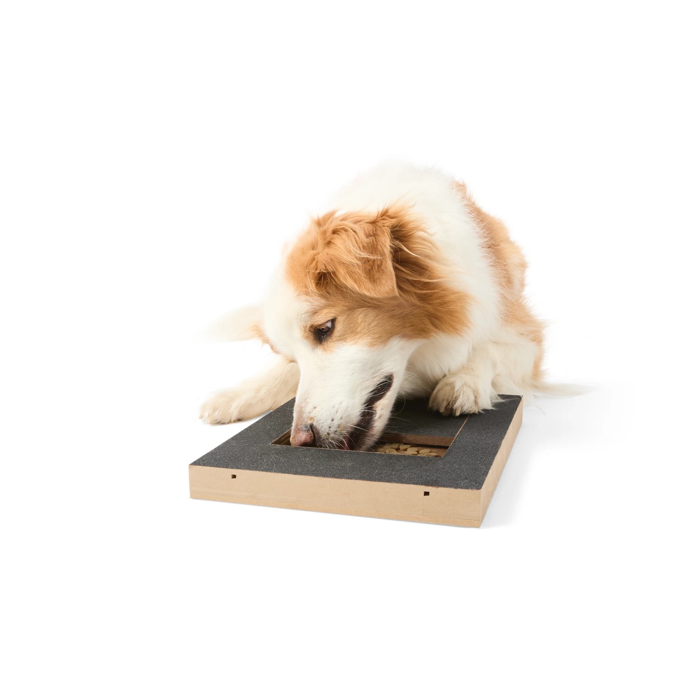 Nail Scratch Treat Dispenser - Anko 2 of 6