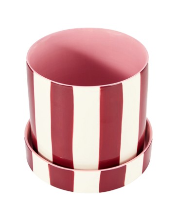 Anko Burgundy Stripe Ceramic Pot with Saucer