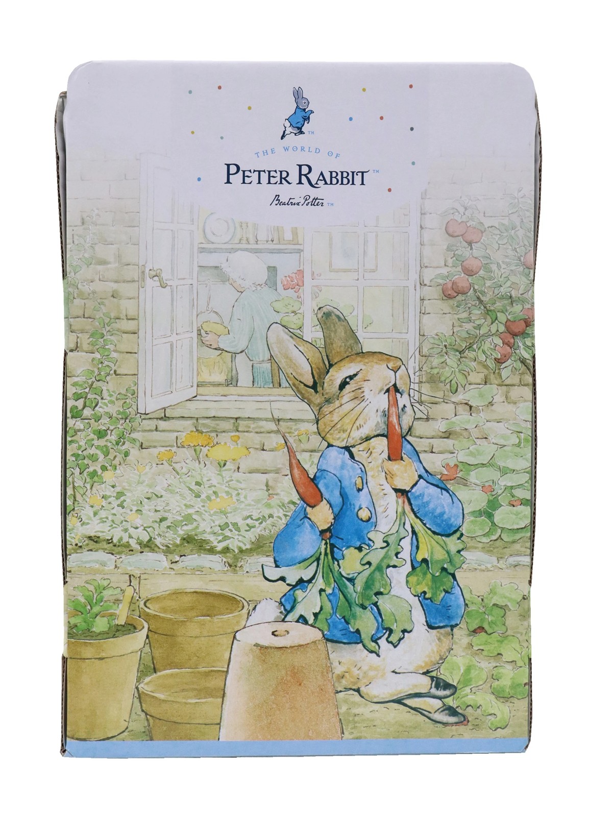 10inch Peter Rabbit Plush 6 of 6