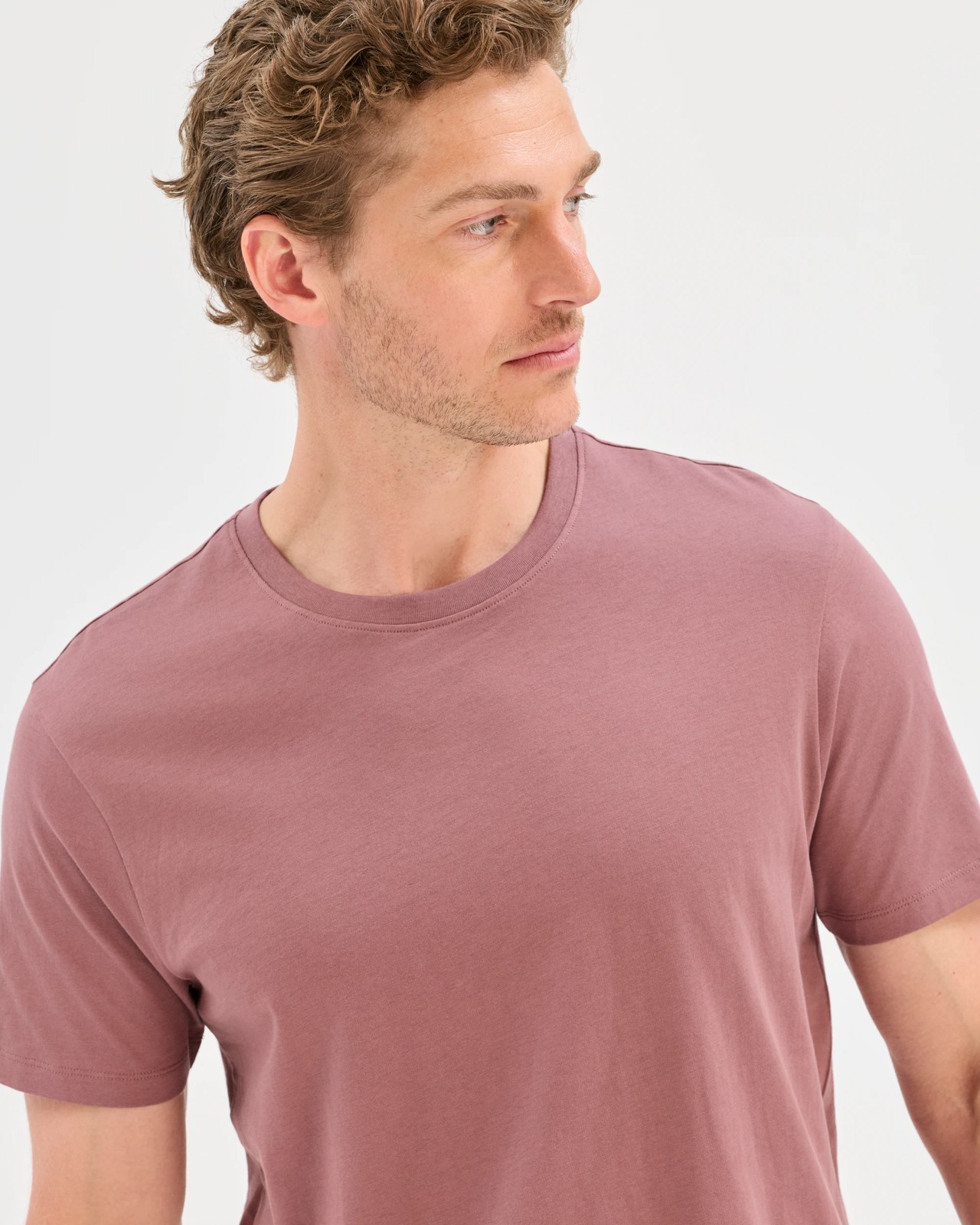Australian Cotton Crew Neck T-Shirt - Rose Taupe 3 of 5