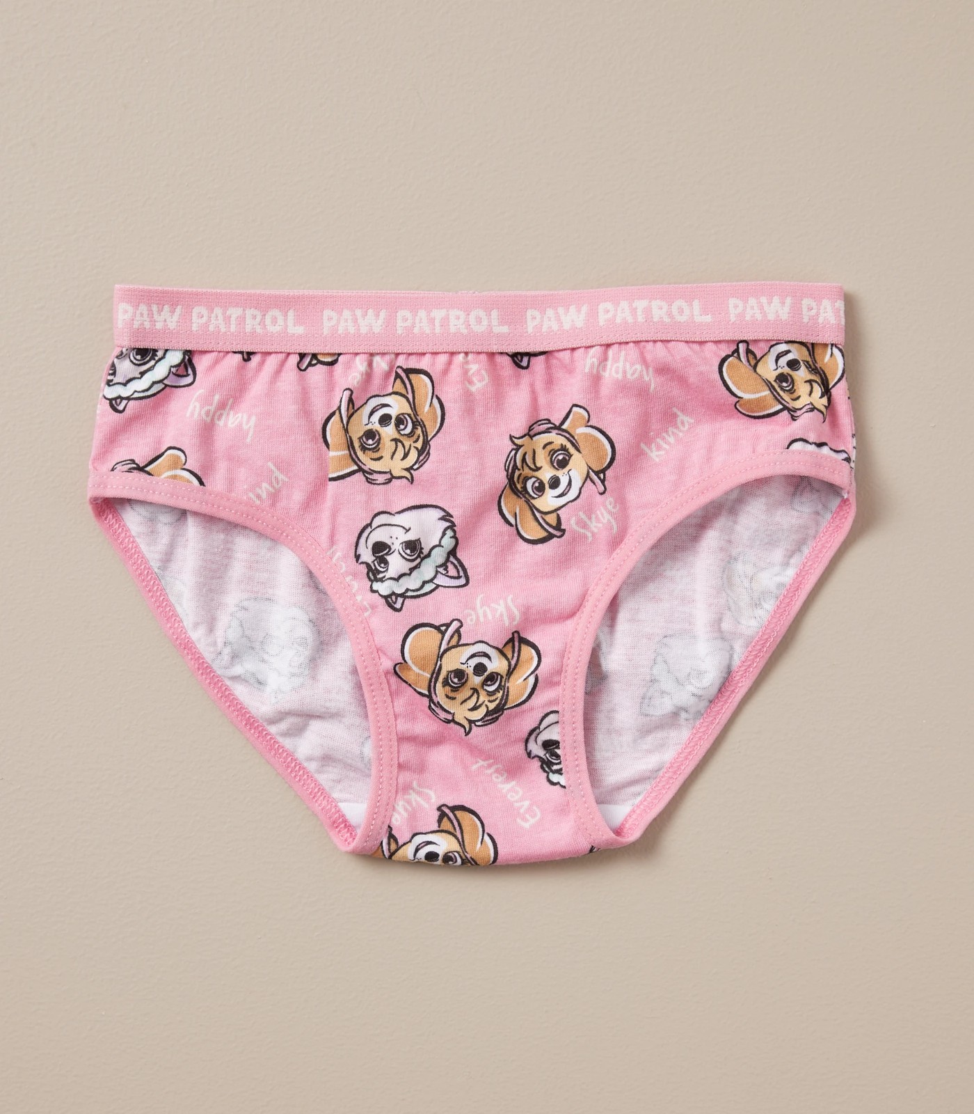 5 Pack Paw Patrol Briefs Gift Set Target Australia