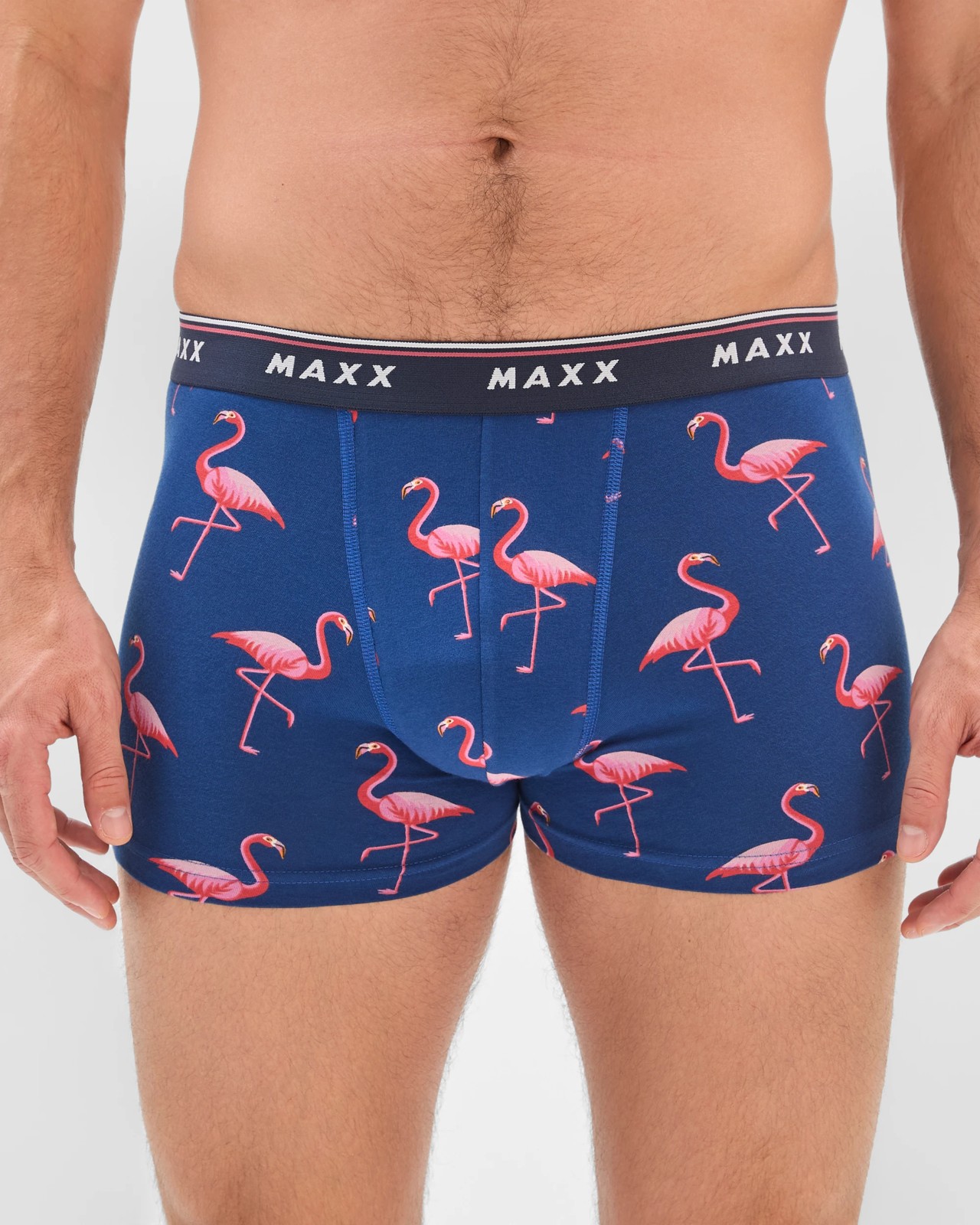Maxx Australian Cotton 3 Pack Hipster Trunks 3 of 4