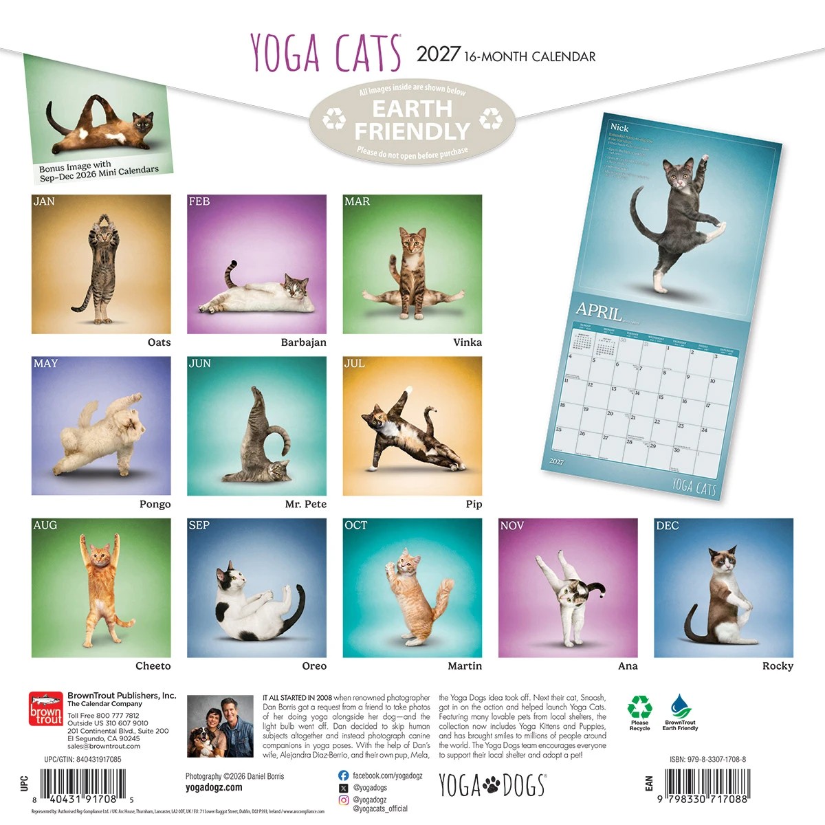 Cats 2027 16-Month Calendar - Assorted 5 of 6