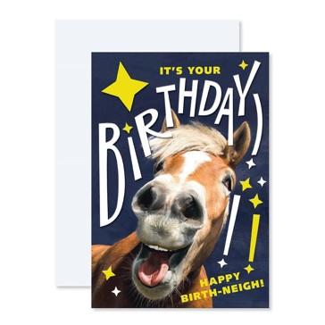 Connections from Hallmark Birthday Card - Horse