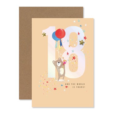 Connections from Hallmark 18th Birthday Card - Birthday Bear
