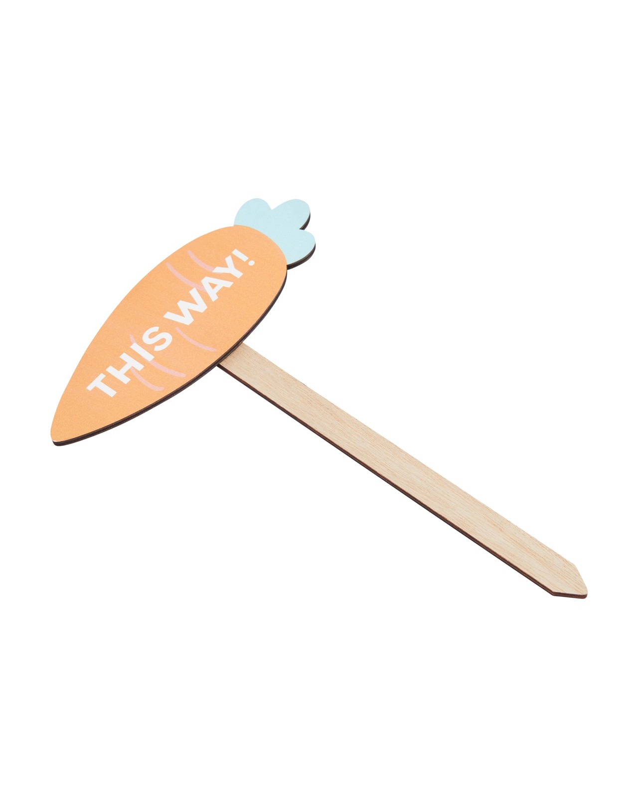 Anko 5 Pack Easter Hunt Stakes 2 of 5