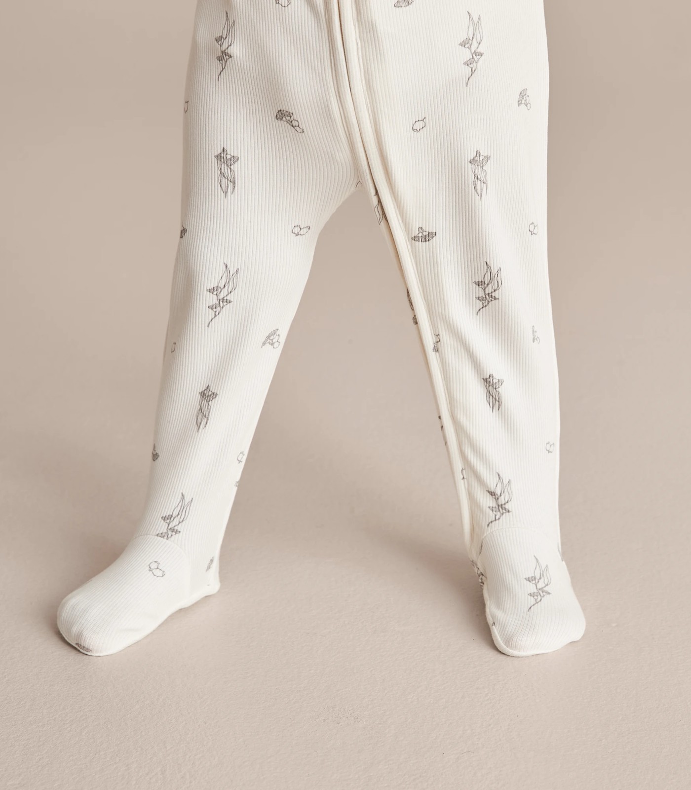 355_67243266_12+22279D