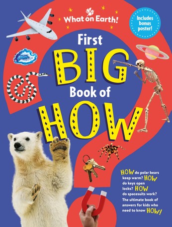 First Big Book of How by Sally Symes - Book
