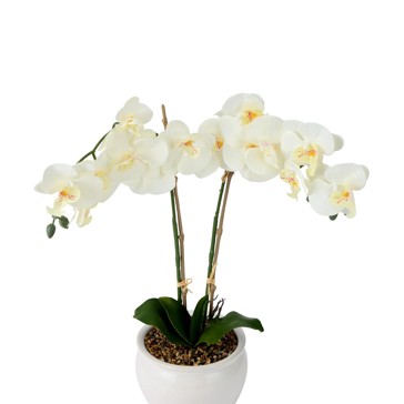 Artificial White Orchid in Vase - Anko