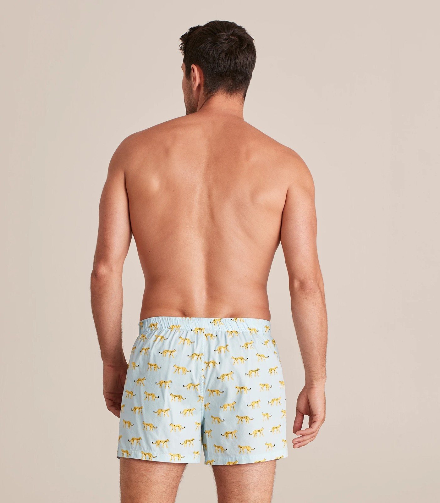 432_67445608_15+2396DA