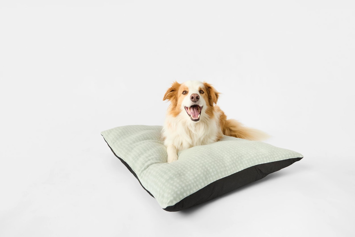 Pet Bed Rectangle Fleece, Large - Anko 2 of 5