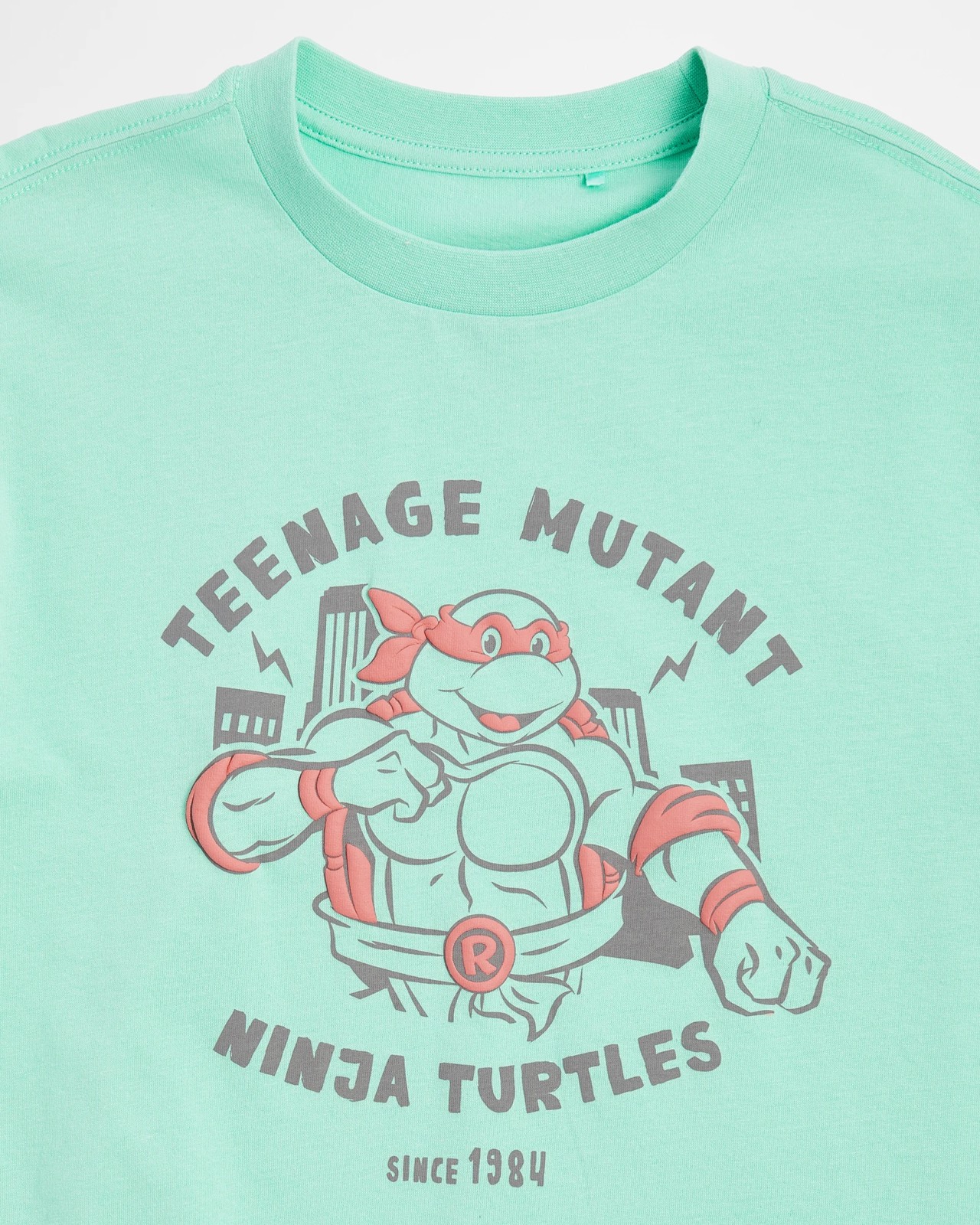 Teenage Mutant Ninja Turtles Oversize T-shirt 3 of 5