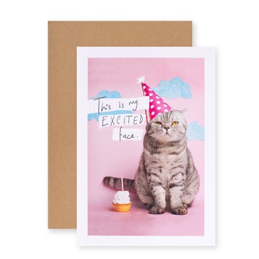 Connections from Hallmark Birthday Card - Excited Face