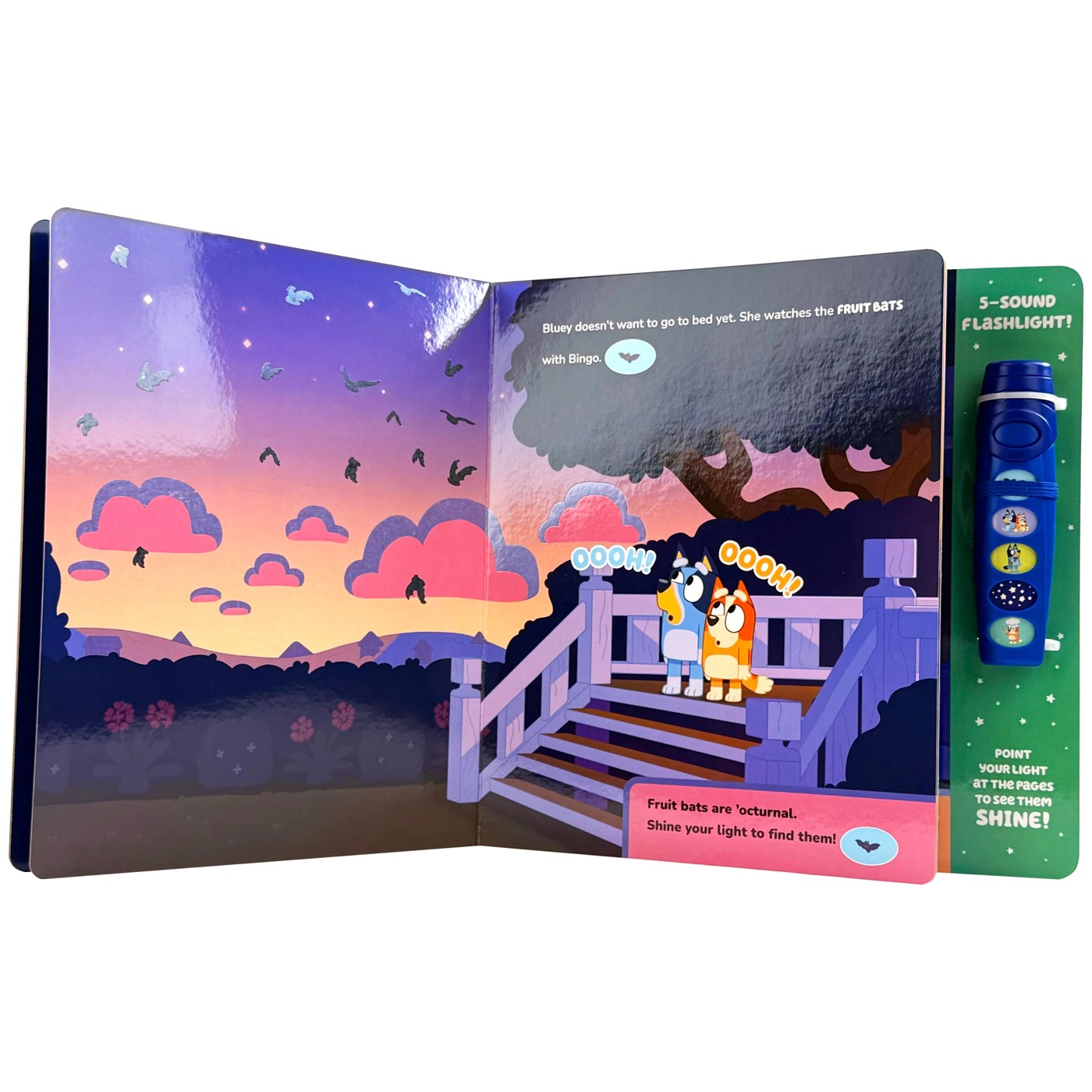 Bluey: Oooh, Shiny! A Bluey Flashlight Sound Book 4 of 5