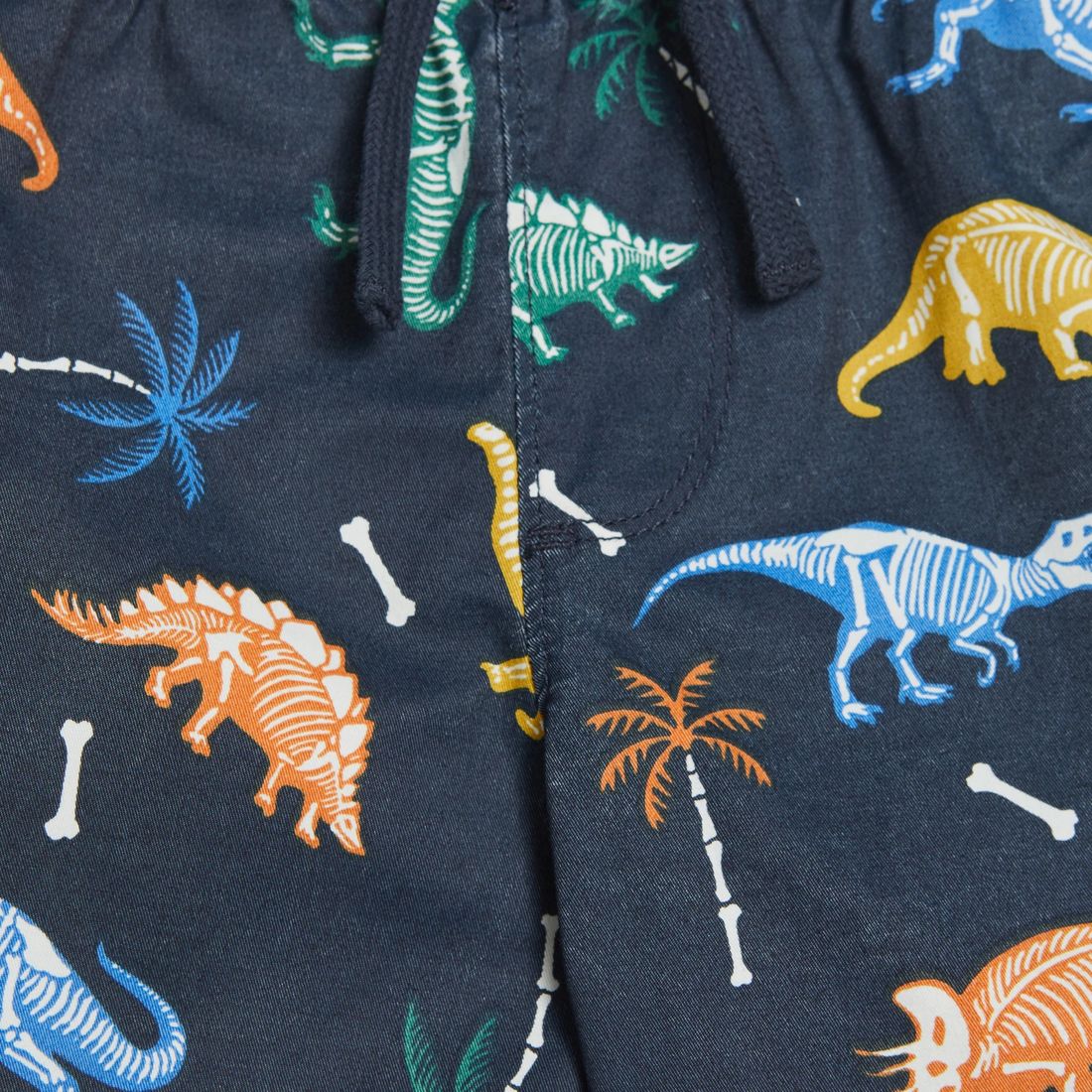 Dinosaur Volley Shorts Target Australia