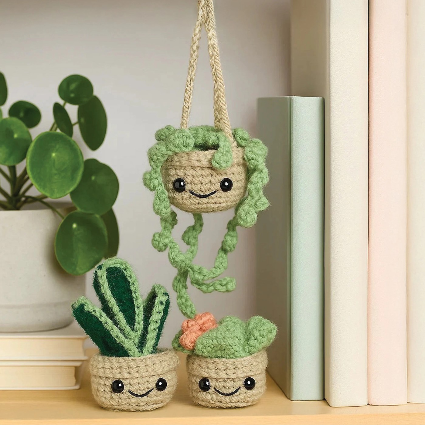 Craft Maker Cute Crochet Plants Kit 5 of 6
