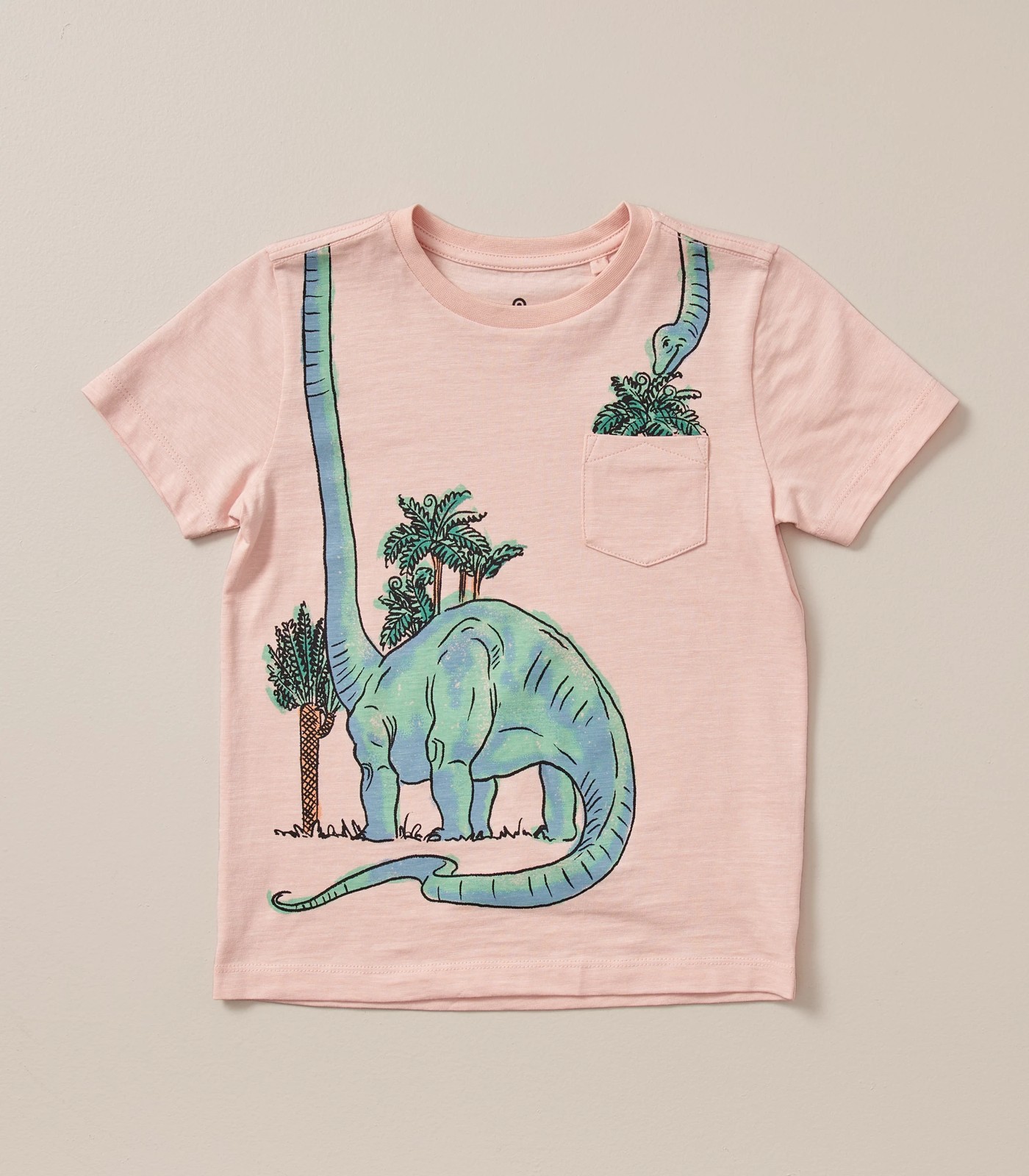 Novelty Dinosaur Print T-shirt | Target Australia