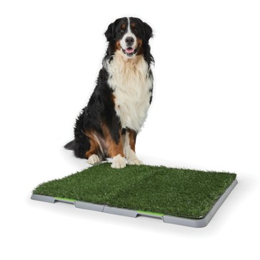 Anko Pet Potty Mat - Extra Large