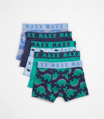Boys Dinosaur Maxx Trunks - 5 Pack