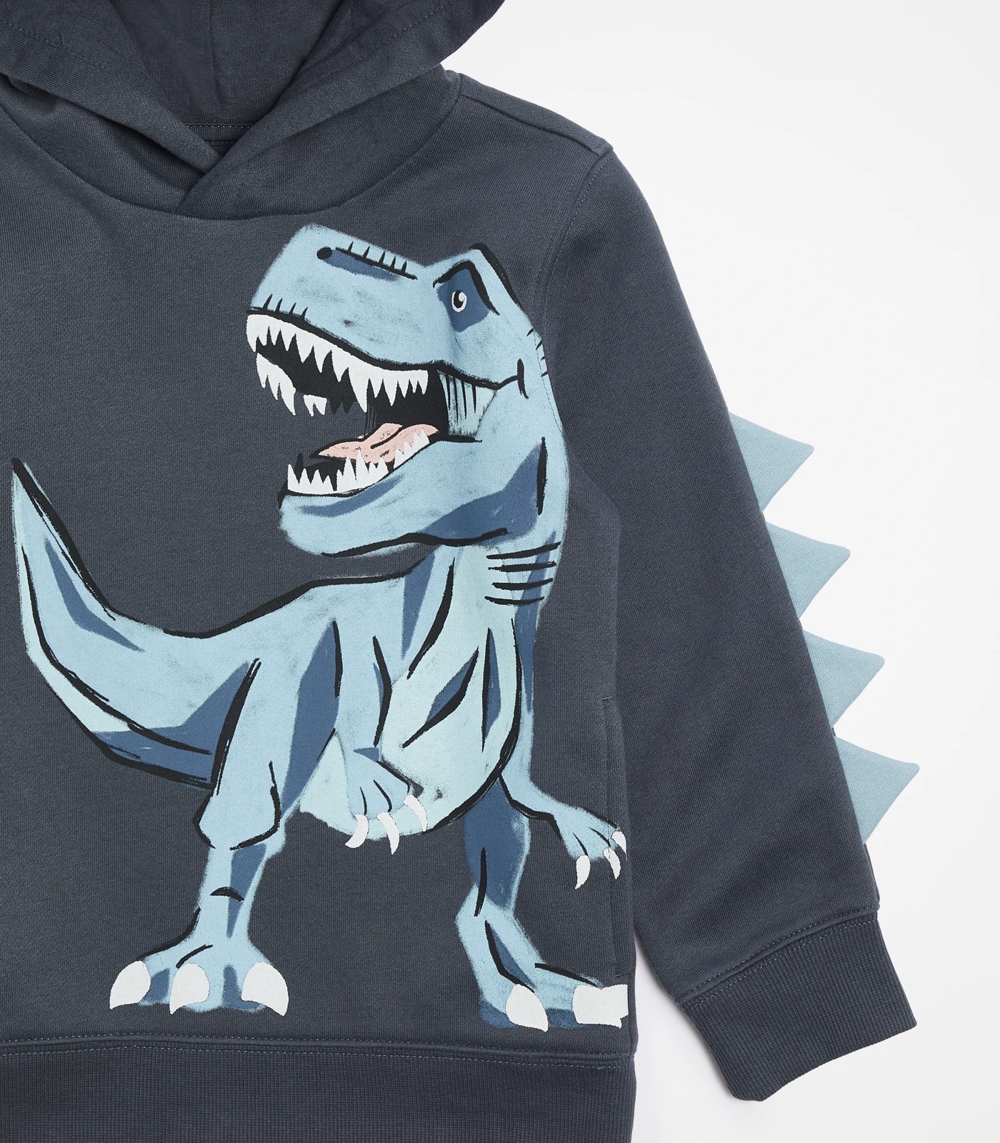 Next dinosaur hoodie best sale