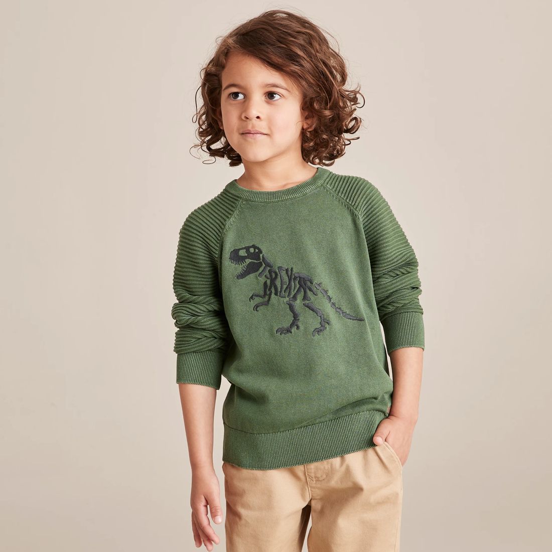 Dinosaur Embroidered Jumper | Target Australia