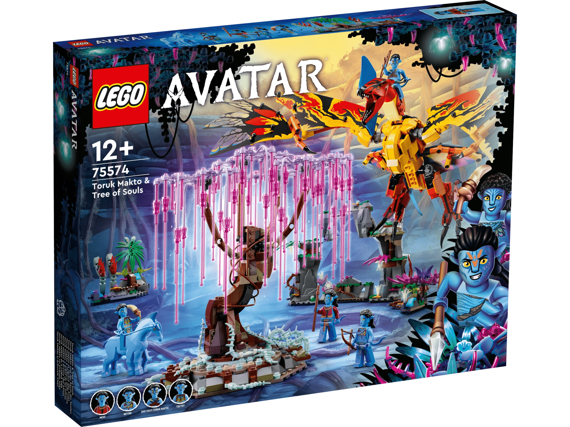 66799009-IMG-002