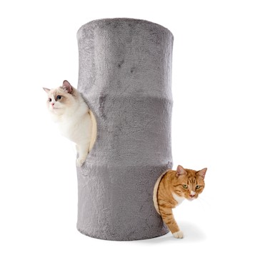 Anko Cat Hotel