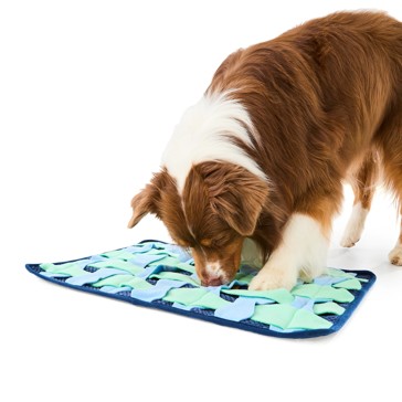 Pet Snuffle Mat, Extra Large - Anko
