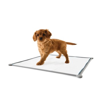 Puppy Training Pad Silicone - Anko