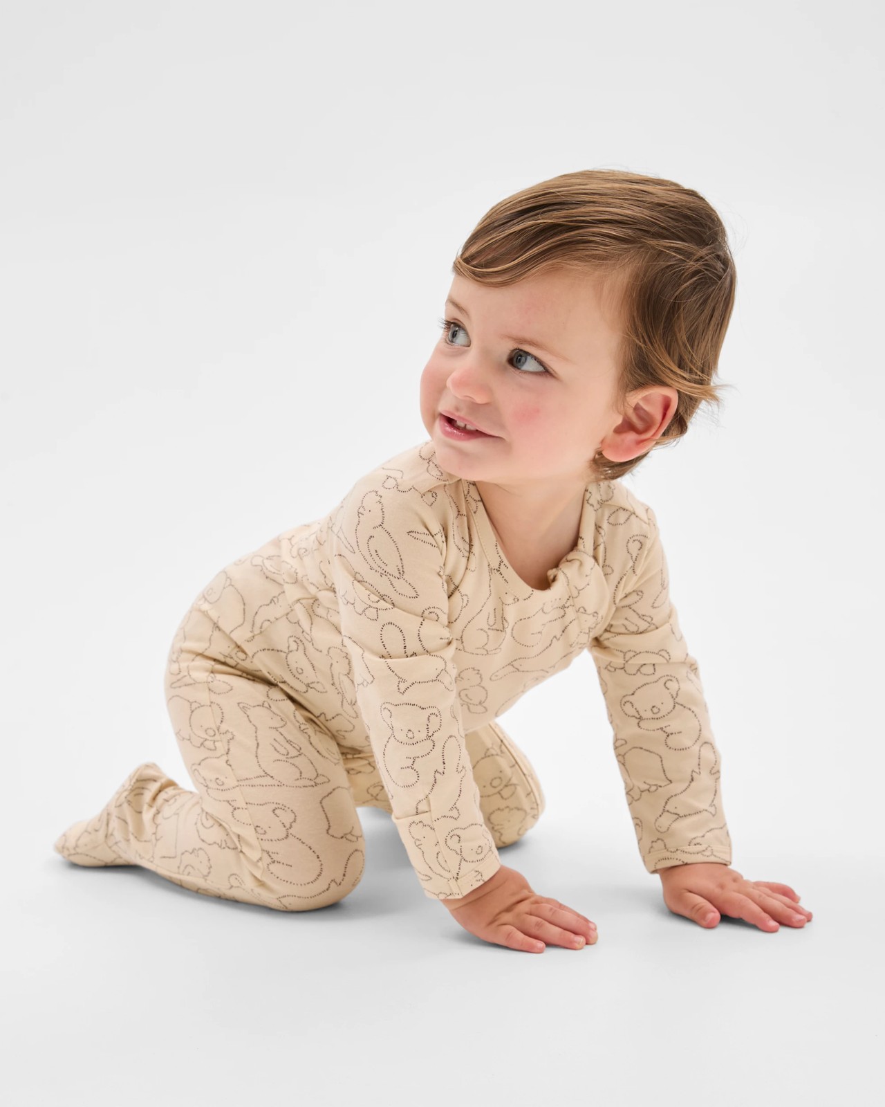 355_71968223_3+355T7196