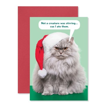 Hallmark Christmas Card - Grumpy Cat