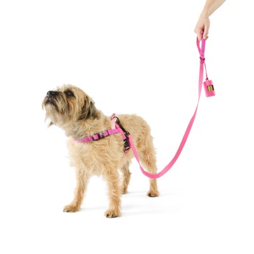 Pet Walking Set, Small, Pink - Anko