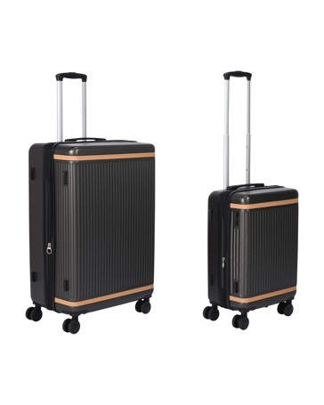 Anko 2 Piece Charcoal Beige Hard Case Set