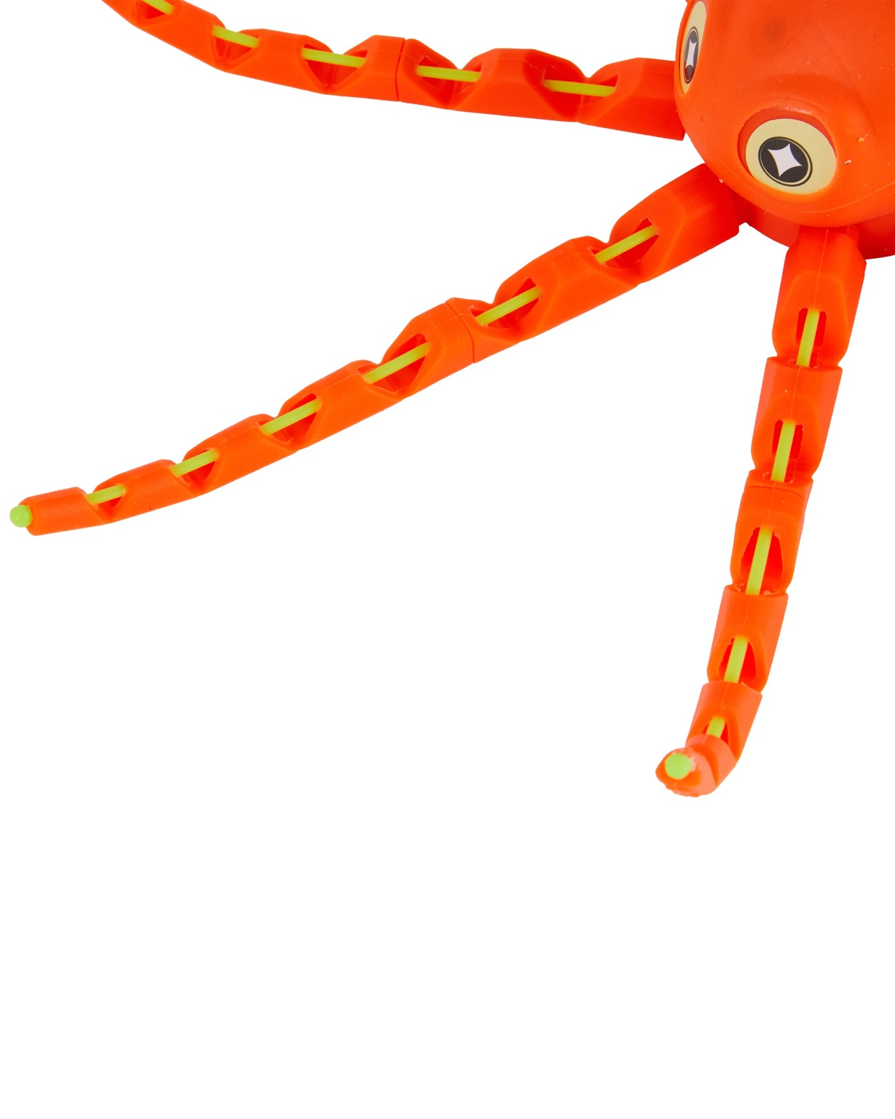 Octopus 4 of 5