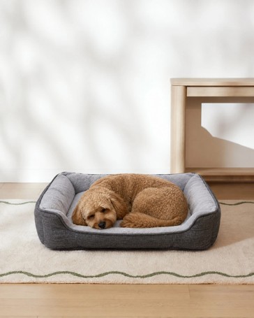 Pet Bed Lounge Classic, Medium - Anko